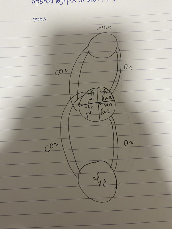 9977B08B-4B87-48D7-ABA7-D151B815662B