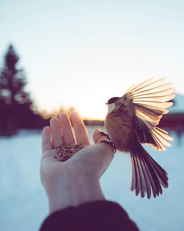 How-I-Got-Seduced-By-Wildlife-Photography.jpg