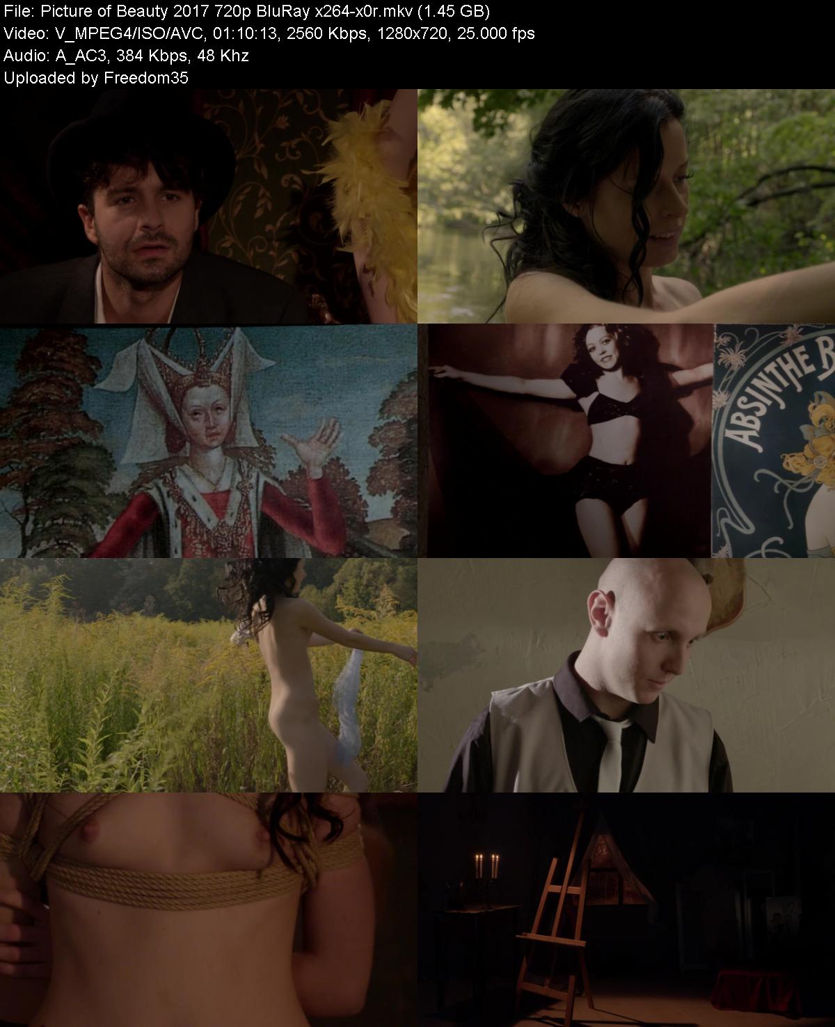Picture-of-Beauty-2017-720p-Blu-Ray-x264