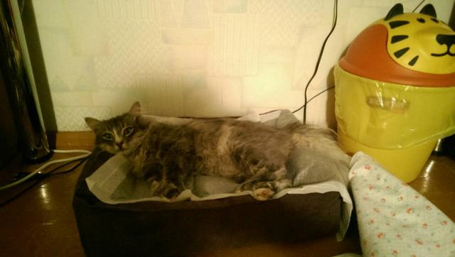 IMG-92ef600259dbdc9ea65295d49978d30d-V