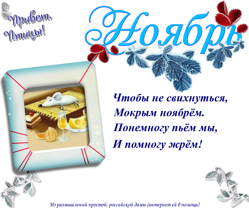 https://i.postimg.cc/Wp5jbtZ3/15-11.png