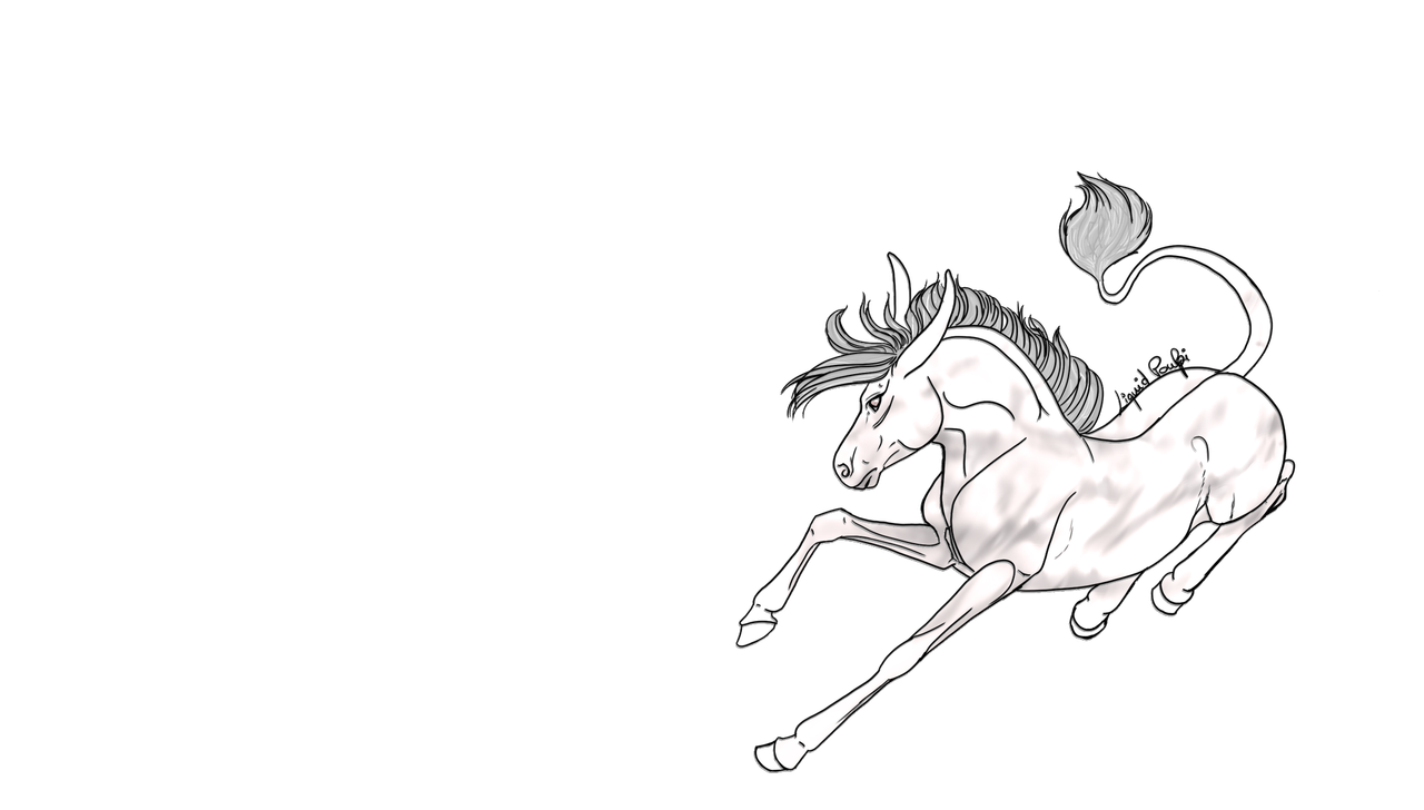 White-Donkey.png