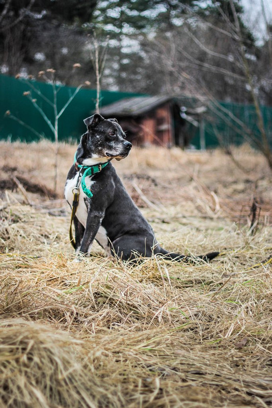 без имени-0452