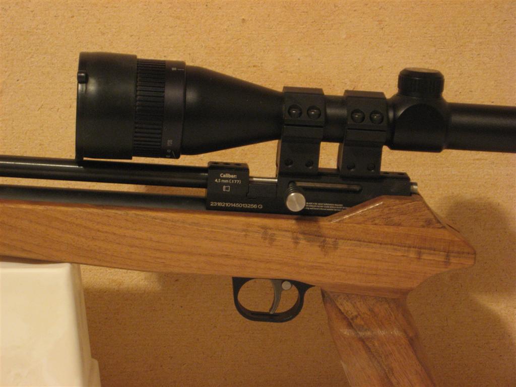 Diana Bandit Build 015