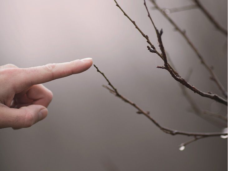 Bends of the middle joint and fingertip