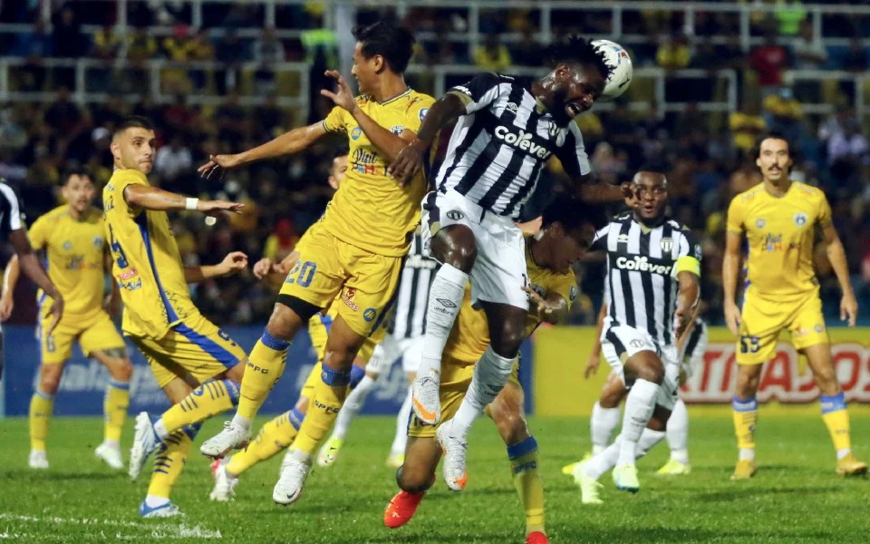 Image of Penyu buat Tok Gajah Menangis di Laman Sendiri