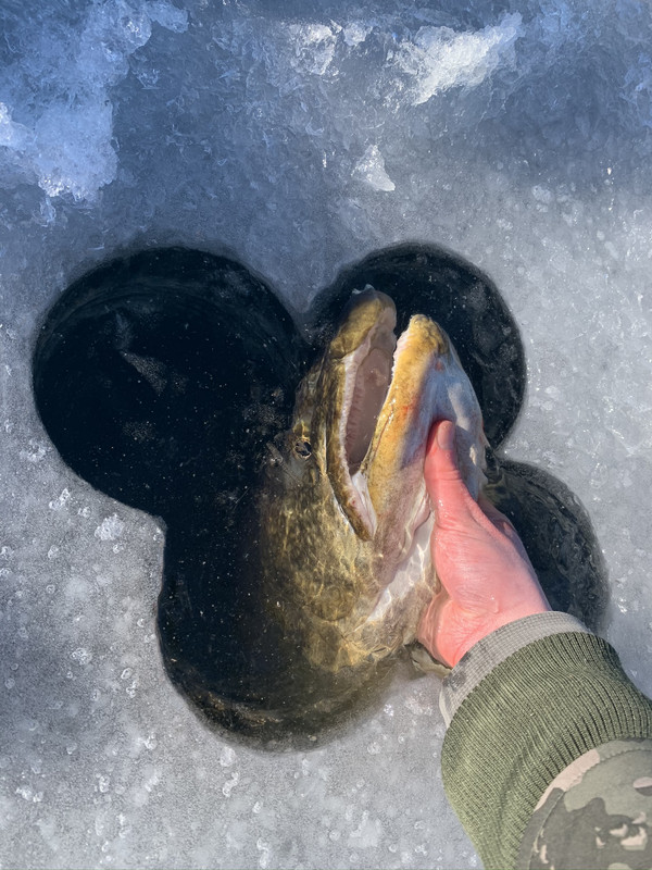 5A09AFF8-04EC-4C10-9999-8BF5E0C77E7B