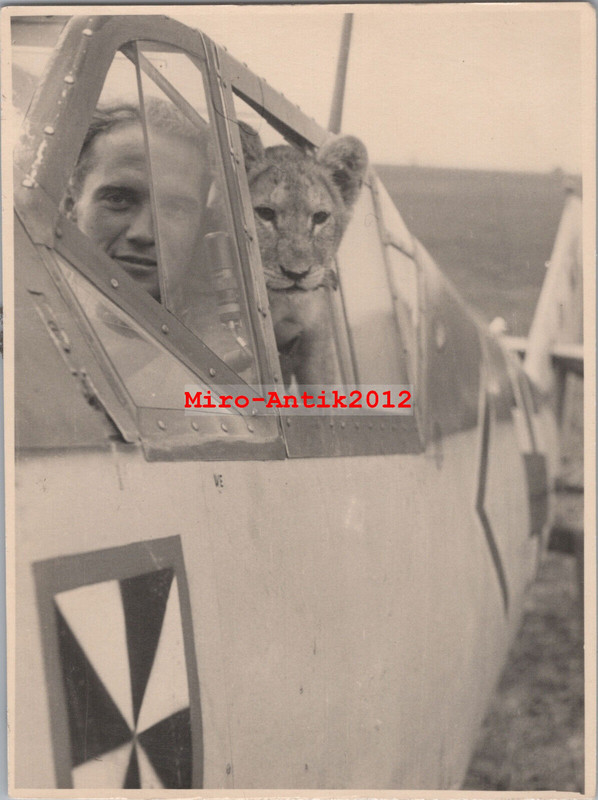 Foto, II.-JG3 -Udet- Simba als Copilot, Me 109, Berneuil Frankreich (N)50999