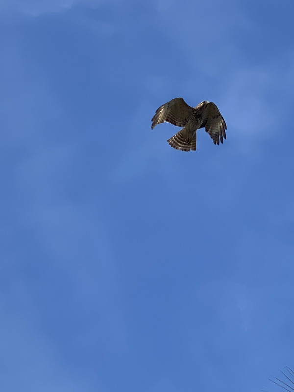 E41933C0-F8C5-4DC9-B3C7-643233E328D3