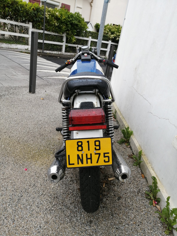 funky guzzi 3