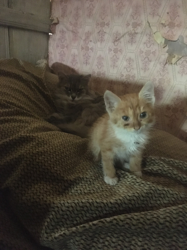 9DE189C9-2D0A-4E30-874E-0B66E677F641