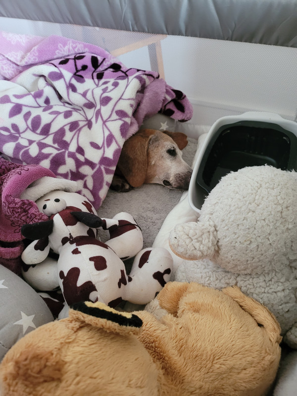 [Image: 20220224-095031.jpg]