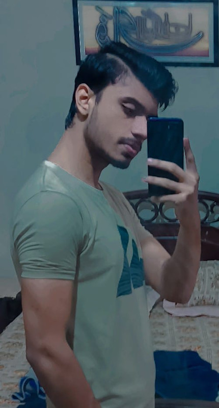 Muhammad Taha Zahid - Frontend Developer
