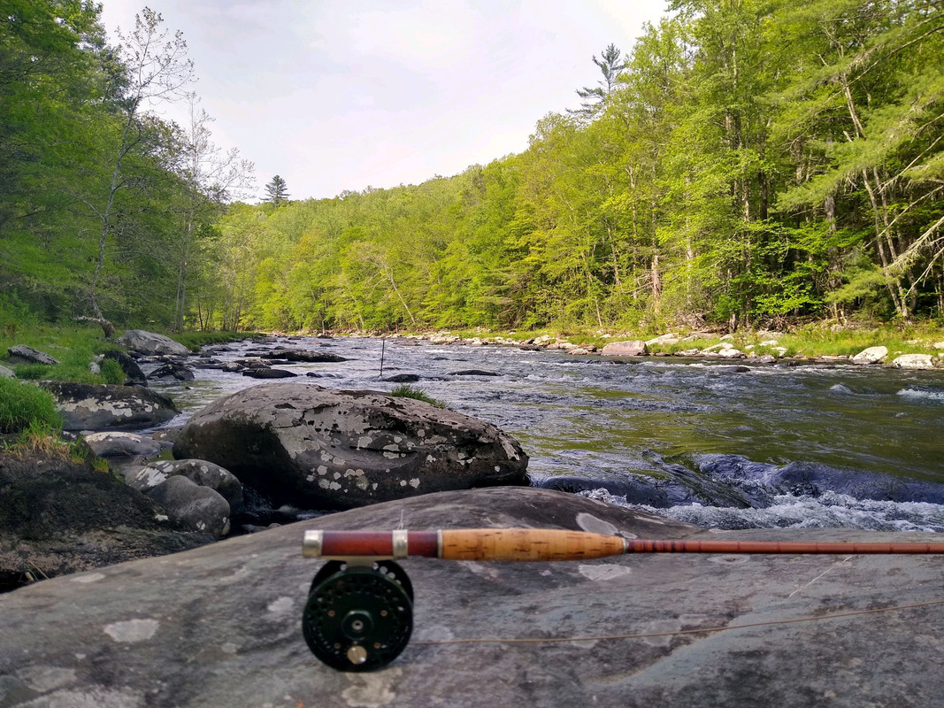 82A576E0-901B-4186-A9F7-06958B8A39AD