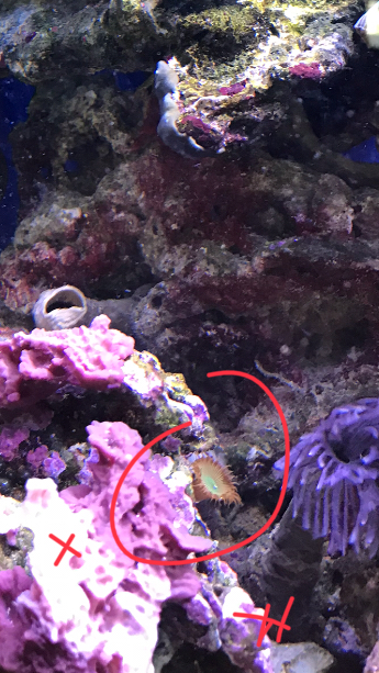 9BDAEA79-496B-4F1A-B54F-B576235034EA