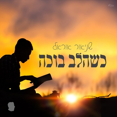 תמונה