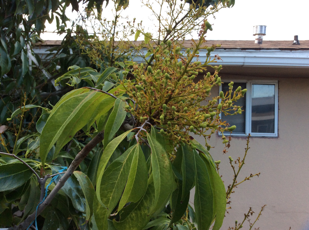 15693F85-31FB-4408-AE2C-8C43E80511F0