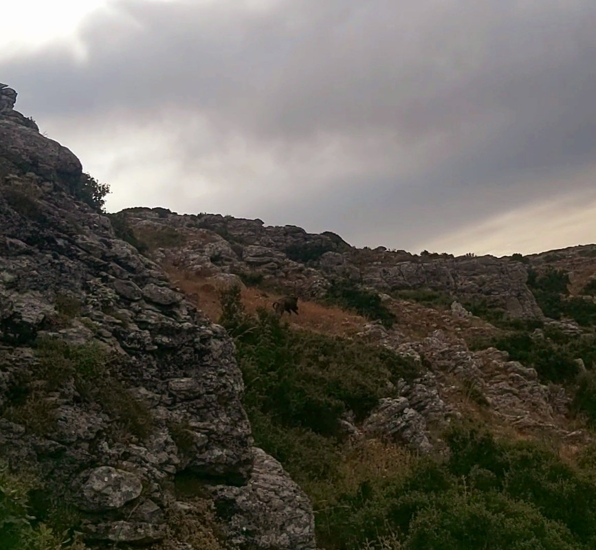 VideoCapture_20230901-221552