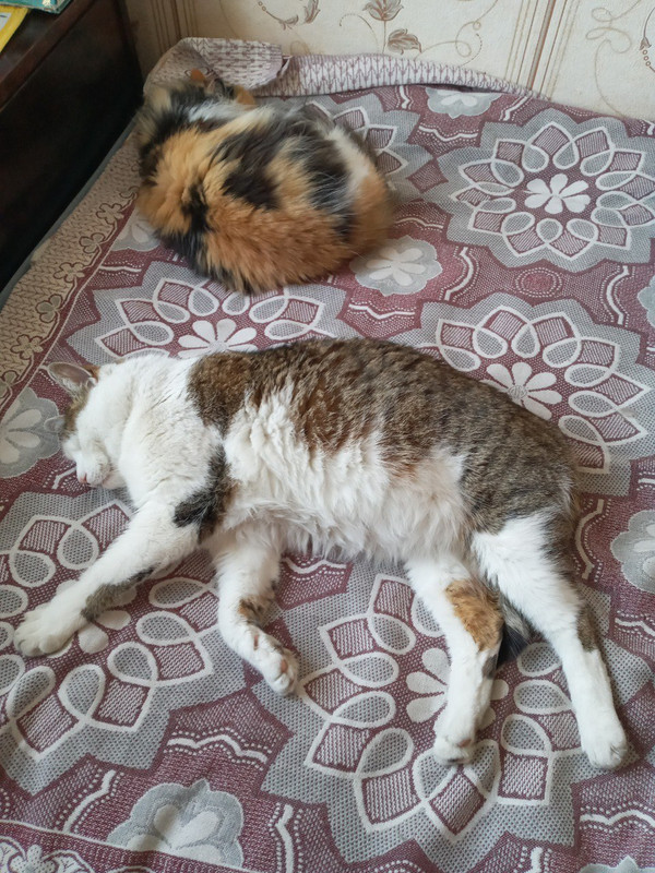 photo_2025-02-27_15-17-28