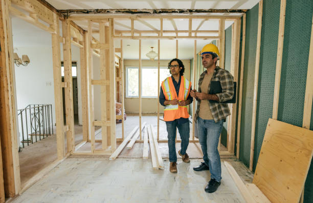 mold remediation