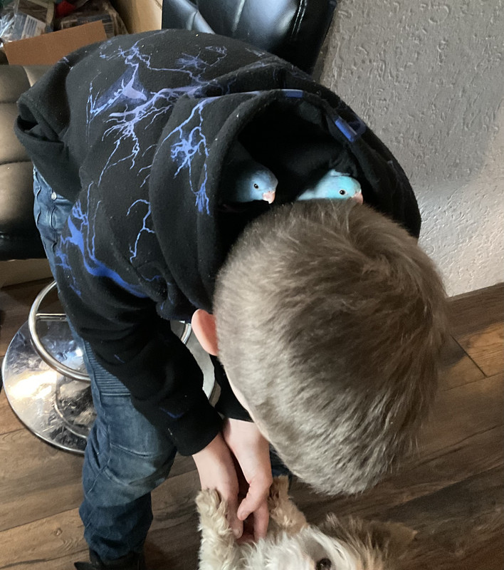 4078BD13-E19F-4363-8F2B-B64EBBD55B6B