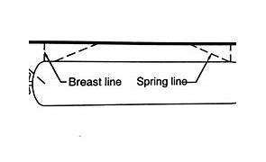Sping-Lines-NB.jpg