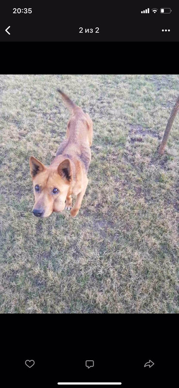 8AC183C1-C6B6-4C18-995E-3532C54507F3