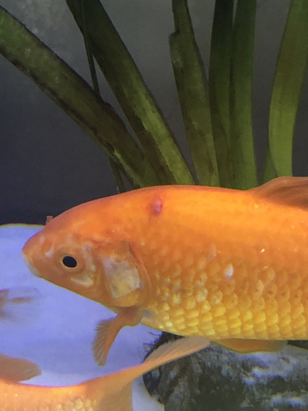 800B38B3-611F-4242-B1C9-BDF60F2727D3