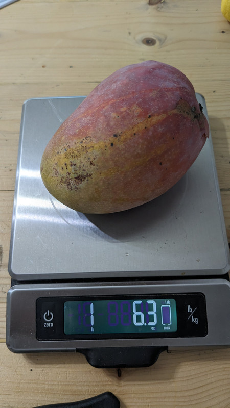 PXL_20240609_182621628