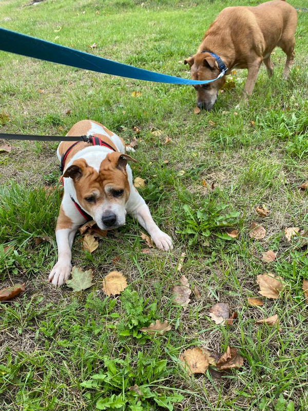 DD02269D-2CAF-42D8-A31C-85D86D9DD035