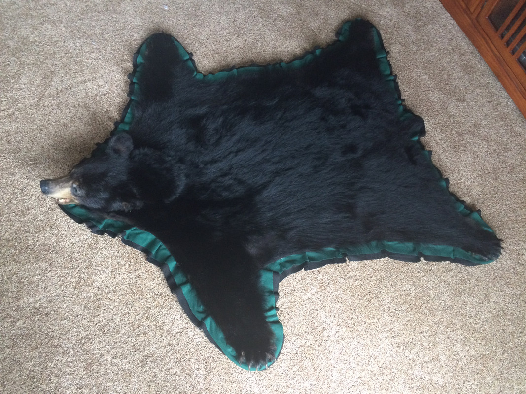 9943F472-B5E9-4056-A6B0-C8FE4A13941E