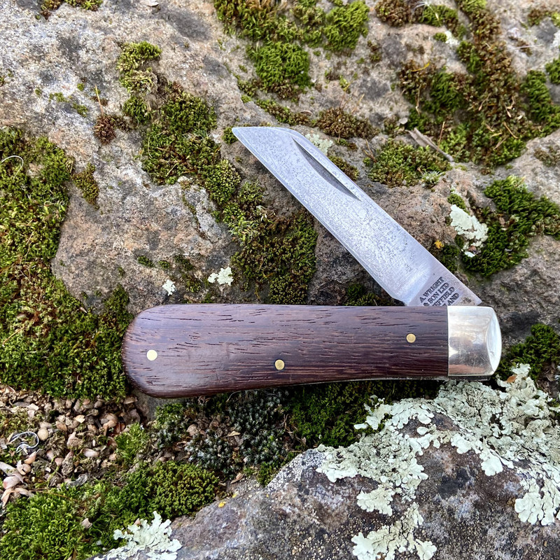 AA6EBB07-C722-4096-A050-BC62591D779C_1_201_a