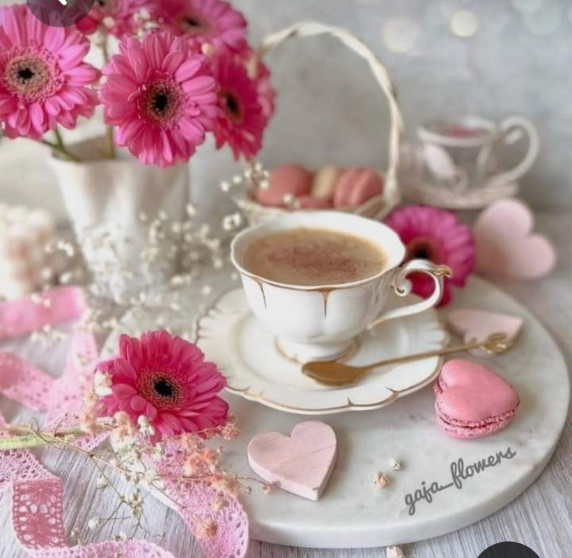 Screenshot_20230316_181659_Pinterest