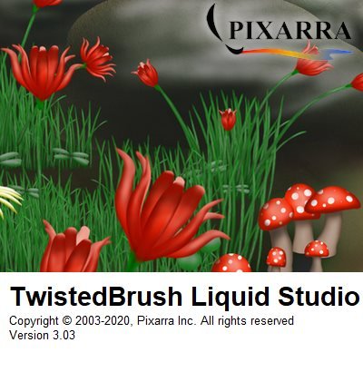 Pixarra TwistedBrush Liquid Studio 3.03