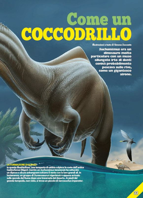 Foc Wil - Giu 2024 (6)