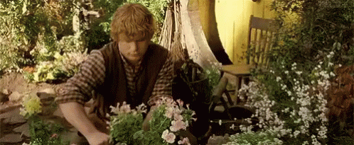 hobbit-samwise.gif