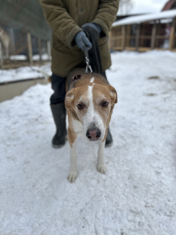 8FD103FB-EFE7-4DEA-968F-42AD21A1DE16