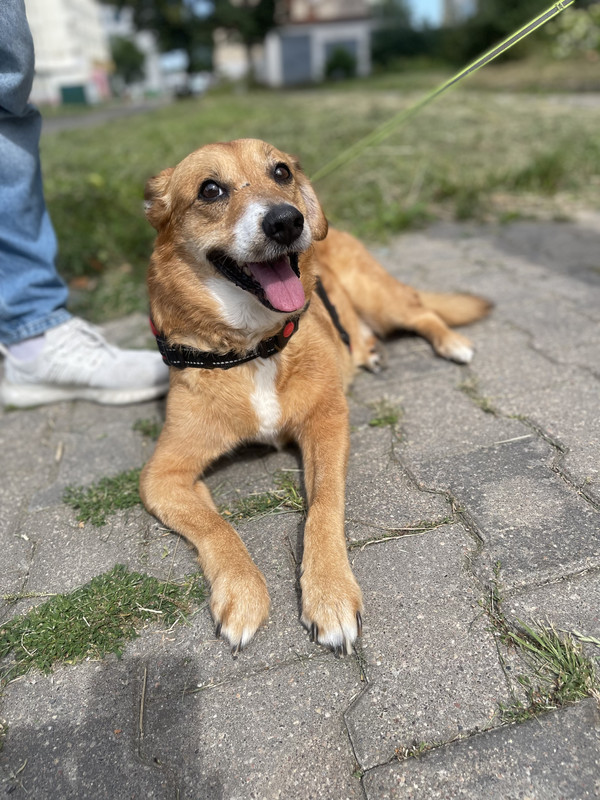 3A31AB07-460D-4954-B8EE-471AAD3C3069