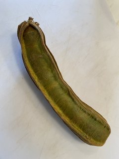 C1C54125-184D-40C6-897E-400567D34BAE