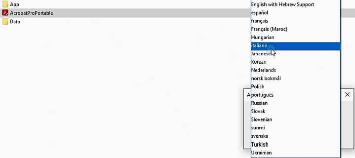 Ac Pro Dd Pro 2024 Lang