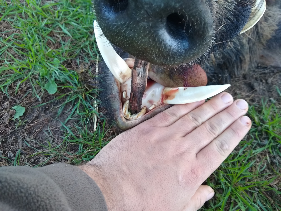 IMG_20200807_083839924