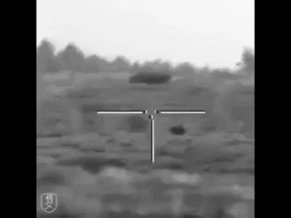 https://i.postimg.cc/WpC2vJP6/video-2026-05-28-01-47-13-(1).gif