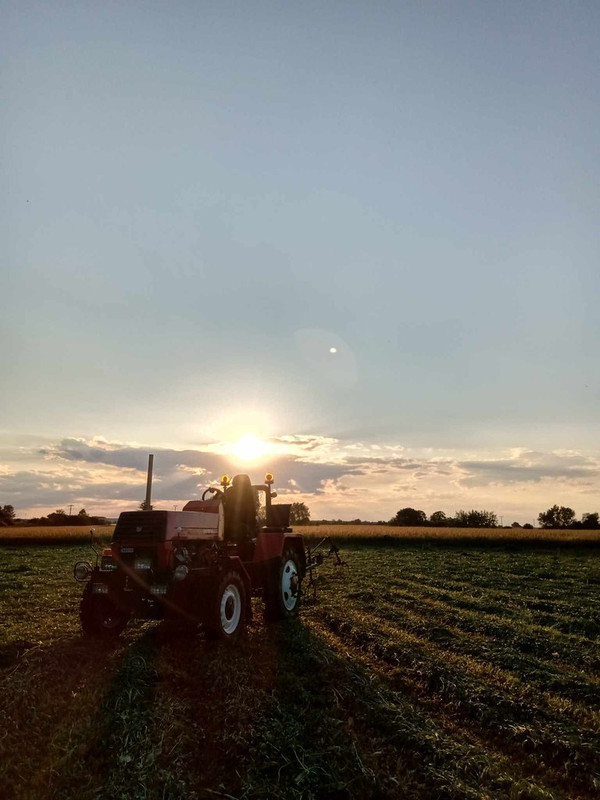 447753184_479515517910399_6704099419641326312_n