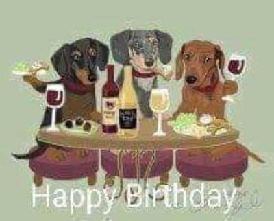 [Image: Anniversaire-teckel-45.jpg]