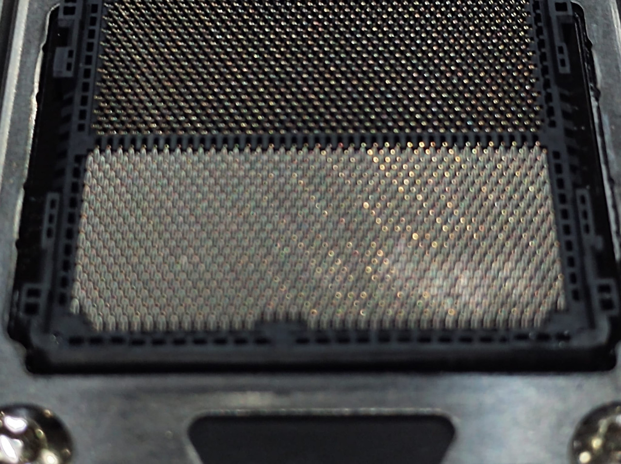 Whats App Image 2025 12 19 at 2 39 44 PM (5)