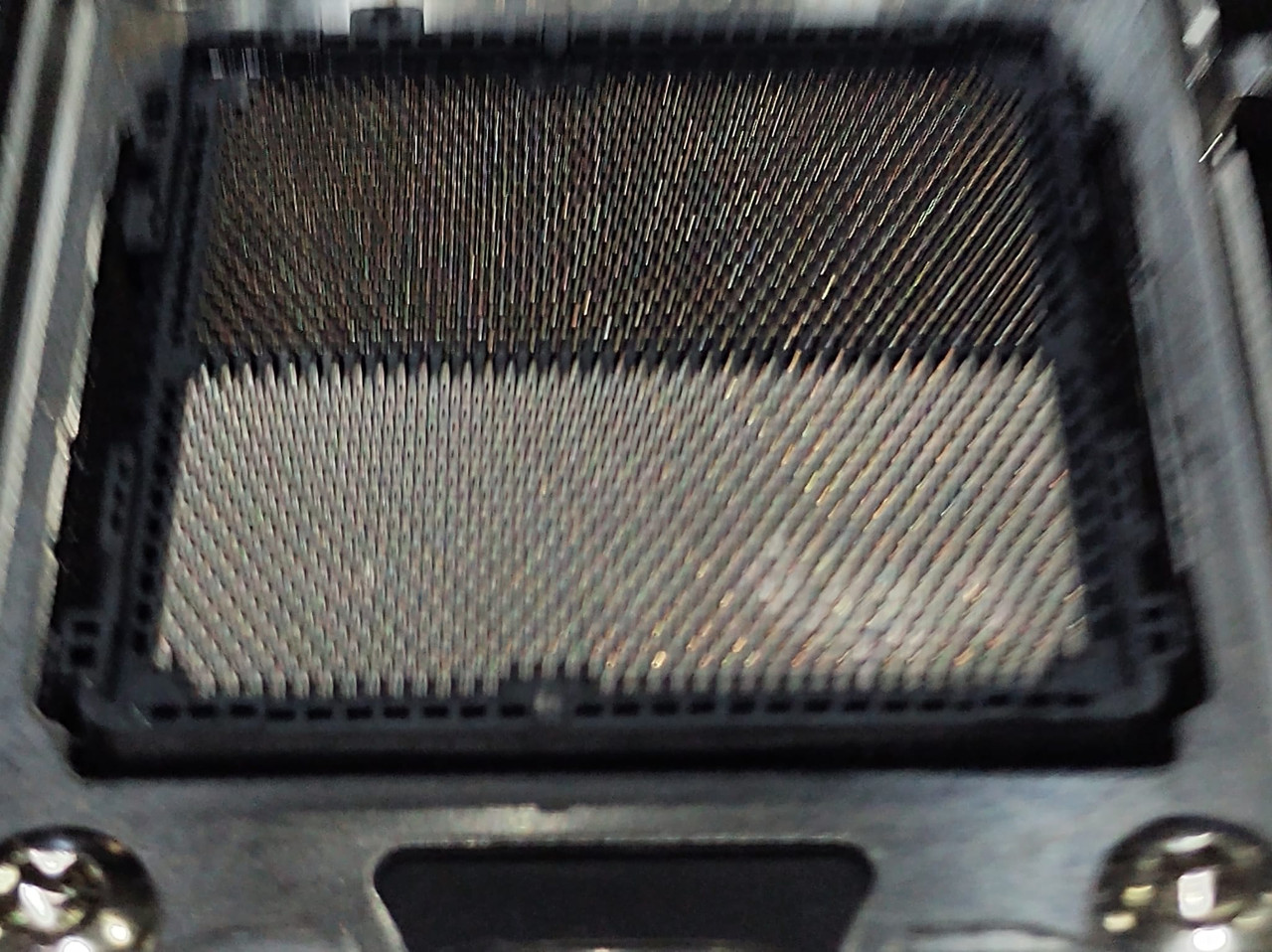 Whats App Image 2025 12 19 at 2 39 44 PM (2)