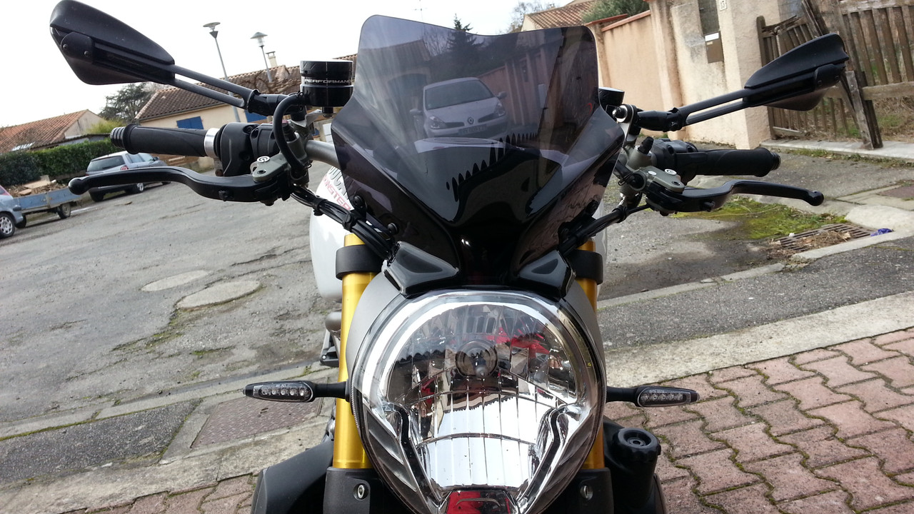 saute vent 20150117 (15)