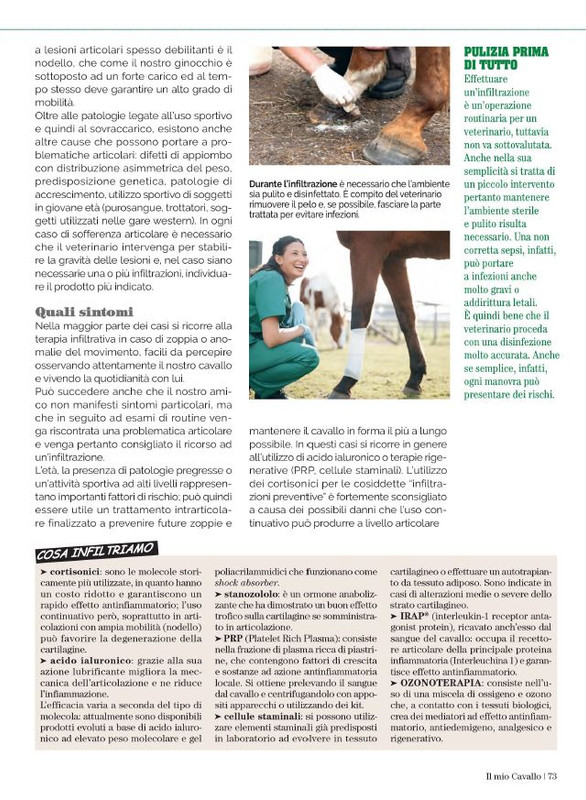 Il Mio Cav (Lug 2023) 10