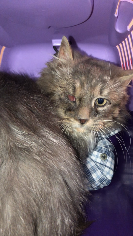 BBF37E00-70A2-4E62-9DB7-EF6313773BF2