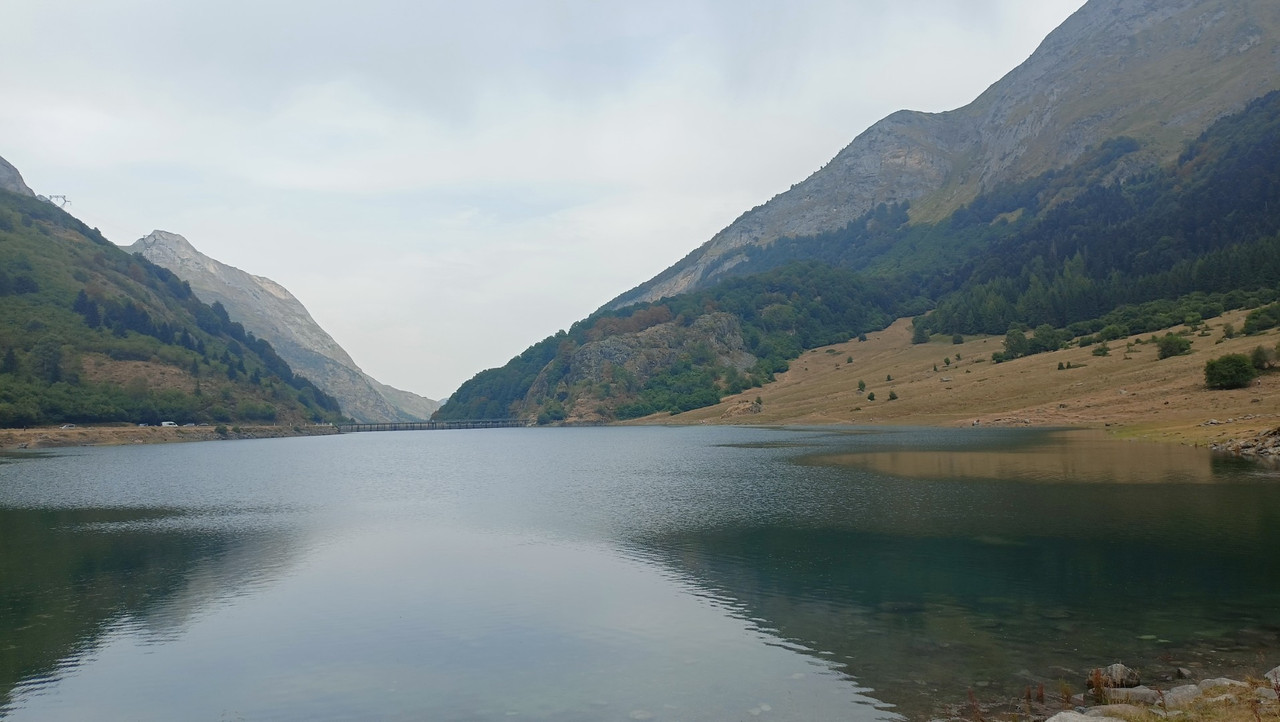 IMG20250818153943 (Large)